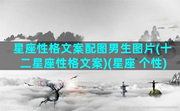 星座性格文案配图男生图片(十二星座性格文案)(星座 个性)